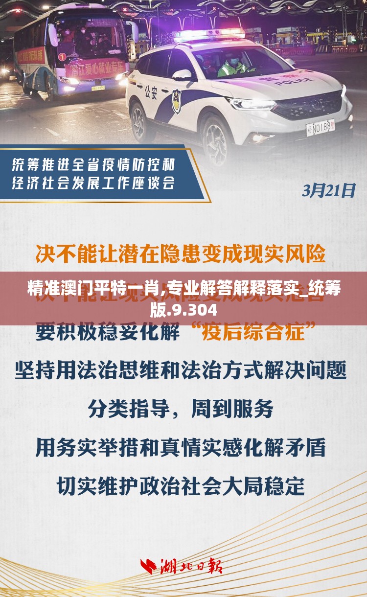 精准澳门平特一肖,专业解答解释落实_统筹版.9.304