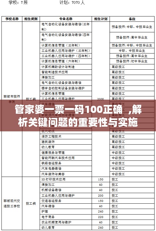 管家婆一票一码100正确  ,解析关键问题的重要性与实施策略_公开款.7.838