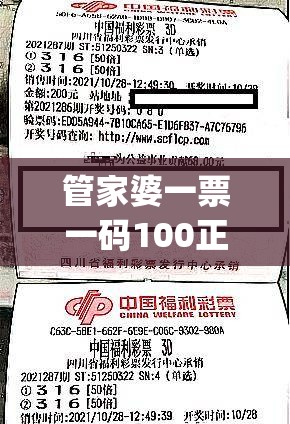 管家婆一票一码100正确  ,解析关键问题的重要性与实施策略_公开款.7.838
