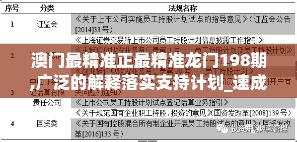 澳门最精准正最精准龙门198期,广泛的解释落实支持计划_速成集.4.872