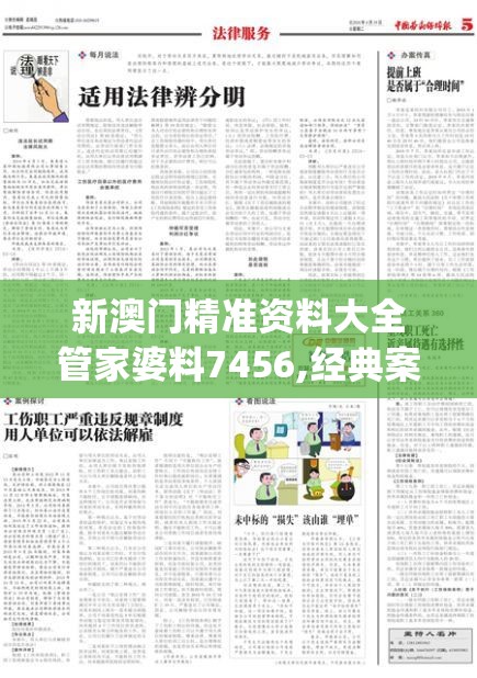 新澳门精准资料大全管家婆料7456,经典案例解释落实_特供版.6.622