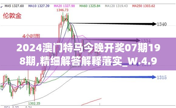 2024澳门特马今晚开奖07期198期,精细解答解释落实_W.4.993