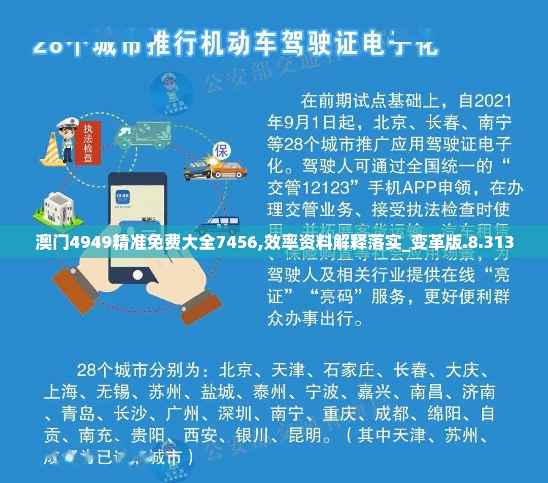 澳门4949精准免费大全7456,效率资料解释落实_变革版.8.313