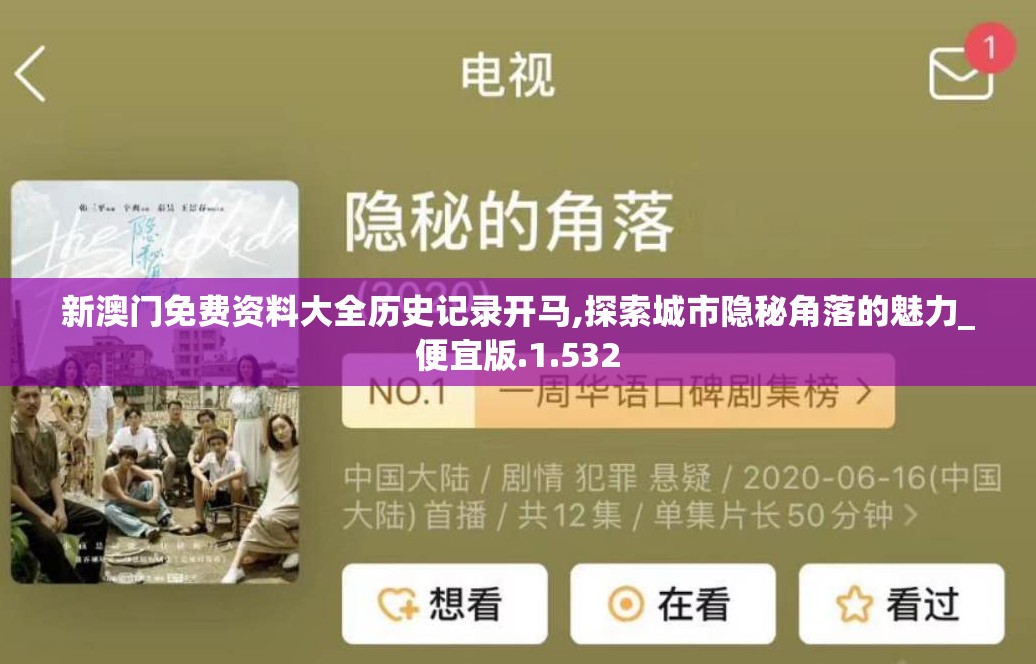 新澳门免费资料大全历史记录开马,探索城市隐秘角落的魅力_便宜版.1.532