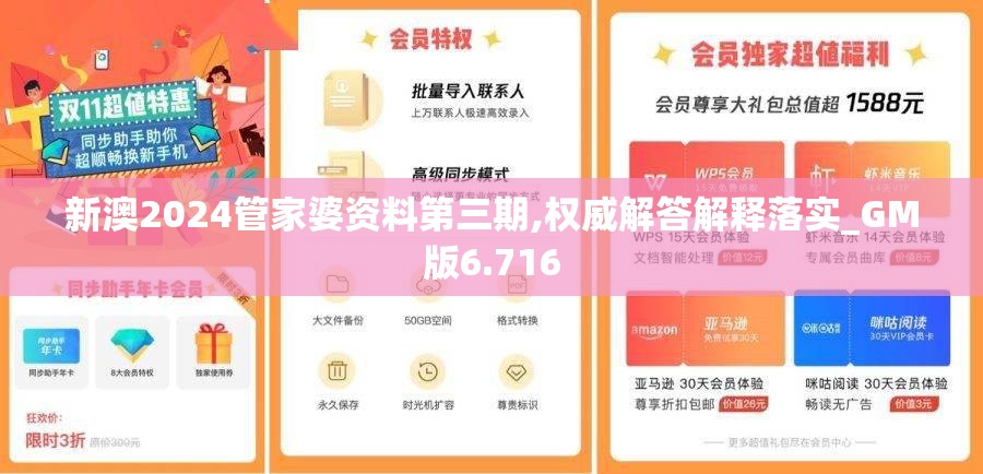 新澳2024管家婆资料第三期,权威解答解释落实_GM版6.716