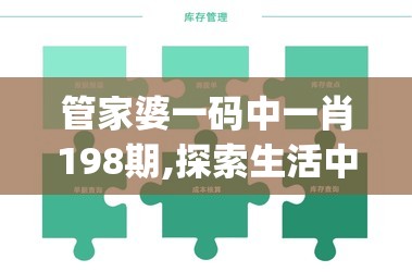 管家婆一码中一肖198期,探索生活中的智慧与灵感_set.8.307