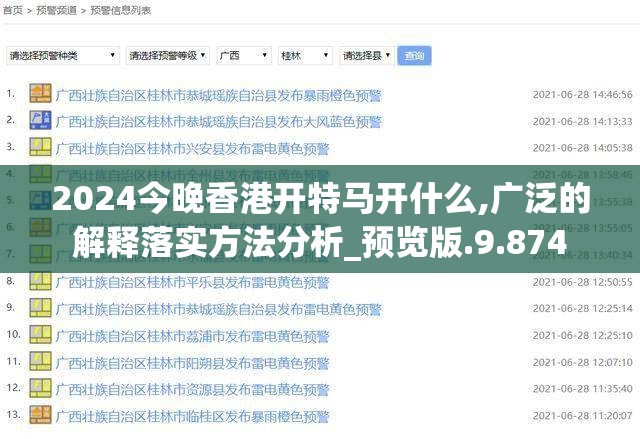 2024今晚香港开特马开什么,广泛的解释落实方法分析_预览版.9.874