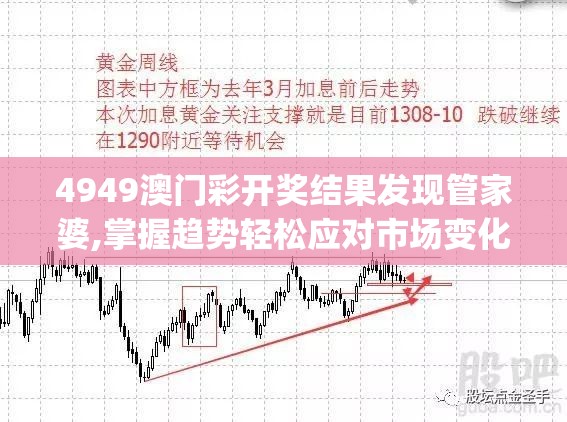 4949澳门彩开奖结果发现管家婆,掌握趋势轻松应对市场变化_策划型.3.585