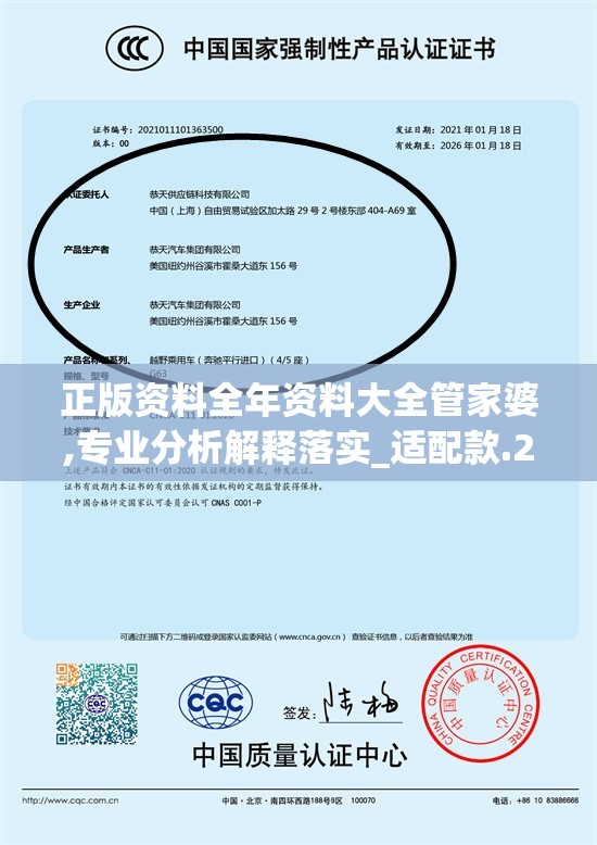 正版资料全年资料大全管家婆,专业分析解释落实_适配款.2.490