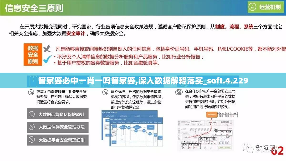 管家婆必中一肖一鸣管家婆,深入数据解释落实_soft.4.229