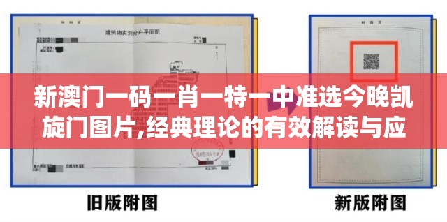 新澳门一码一肖一特一中准选今晚凯旋门图片,经典理论的有效解读与应用_健身版.2.310