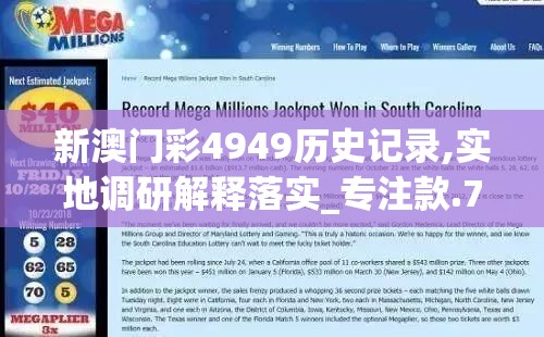 新澳门彩4949历史记录,实地调研解释落实_专注款.7.28