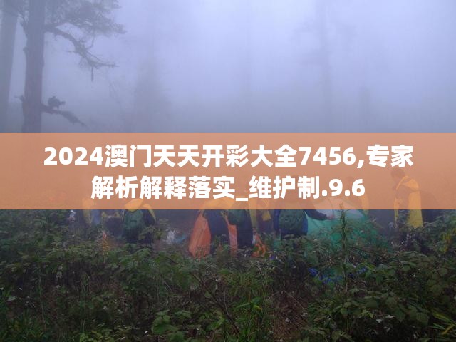 2024澳门天天开彩大全7456,专家解析解释落实_维护制.9.6
