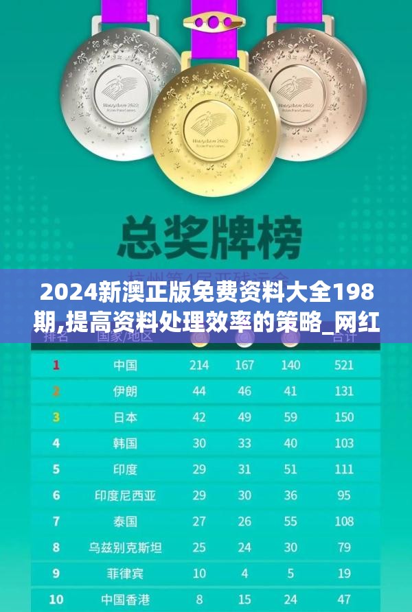 2024新澳正版免费资料大全198期,提高资料处理效率的策略_网红版Hdd.0.751