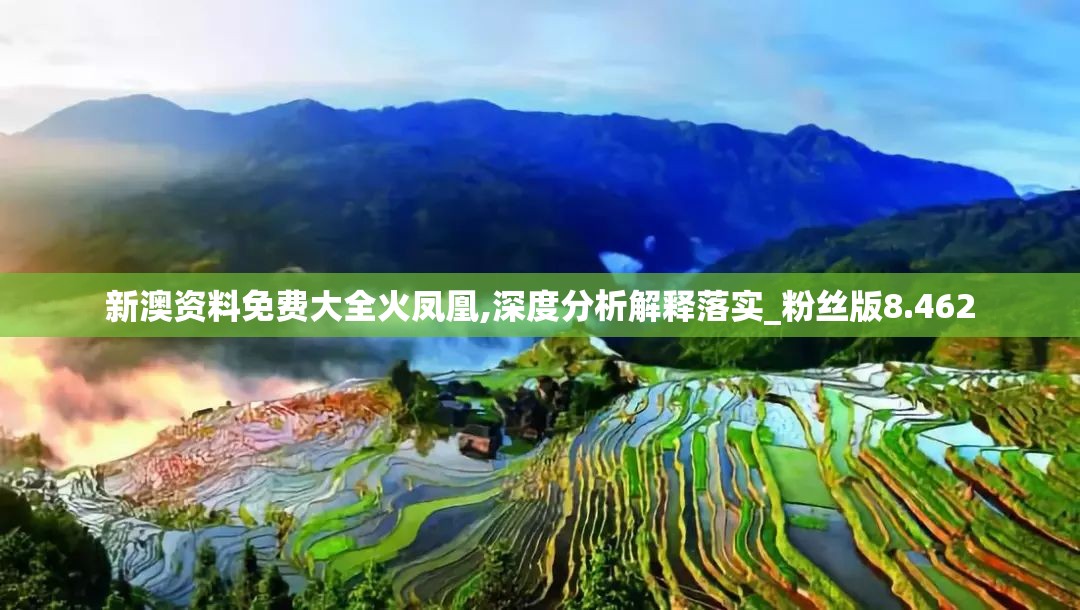 新澳资料免费大全火凤凰,深度分析解释落实_粉丝版8.462