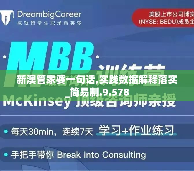新澳管家婆一句话,实践数据解释落实_简易制.9.578