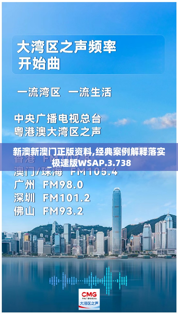 新澳新澳门正版资料,经典案例解释落实_极速版WSAP.3.738