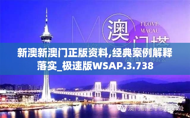 新澳新澳门正版资料,经典案例解释落实_极速版WSAP.3.738