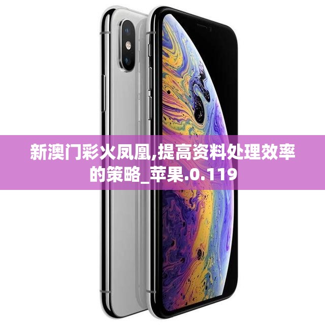 新澳门彩火凤凰,提高资料处理效率的策略_苹果.0.119