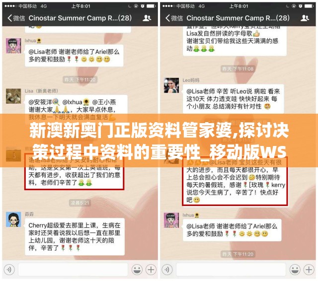 新澳新奥门正版资料管家婆,探讨决策过程中资料的重要性_移动版WSAP.6.361