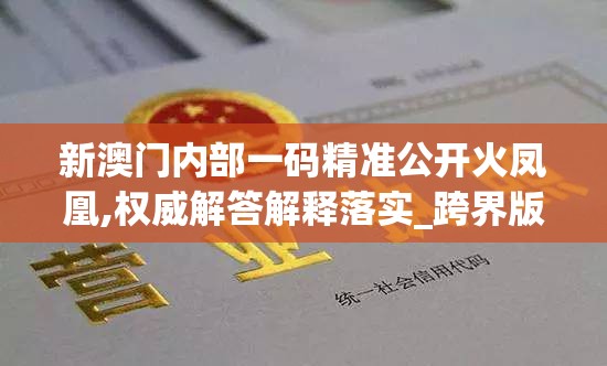 新澳门内部一码精准公开火凤凰,权威解答解释落实_跨界版.0.15