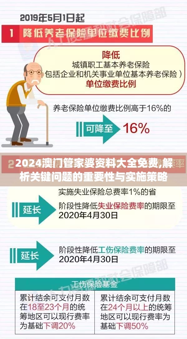 2024澳门管家婆资料大全免费,解析关键问题的重要性与实施策略_豪华制.8.799