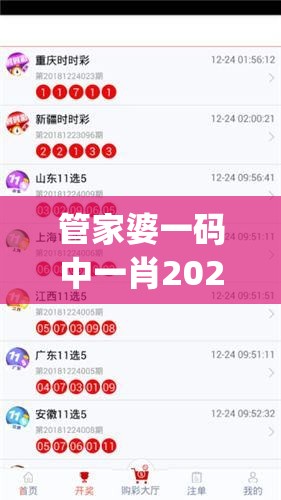 管家婆一码中一肖2024,探索新兴旅游胜地的魅力_游戏版7.992