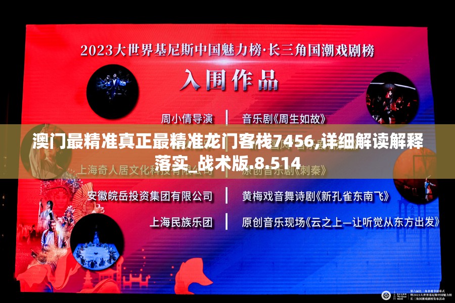 澳门最精准真正最精准龙门客栈7456,详细解读解释落实_战术版.8.514