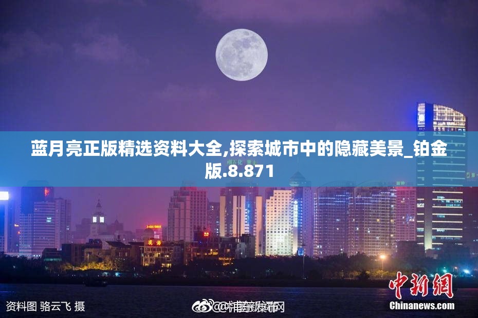 蓝月亮正版精选资料大全,探索城市中的隐藏美景_铂金版.8.871