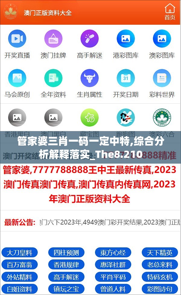 管家婆三肖一码一定中特,综合分析解释落实_The8.210
