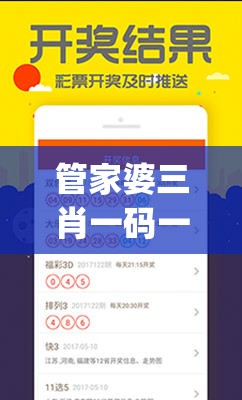 管家婆三肖一码一定中特,综合分析解释落实_The8.210