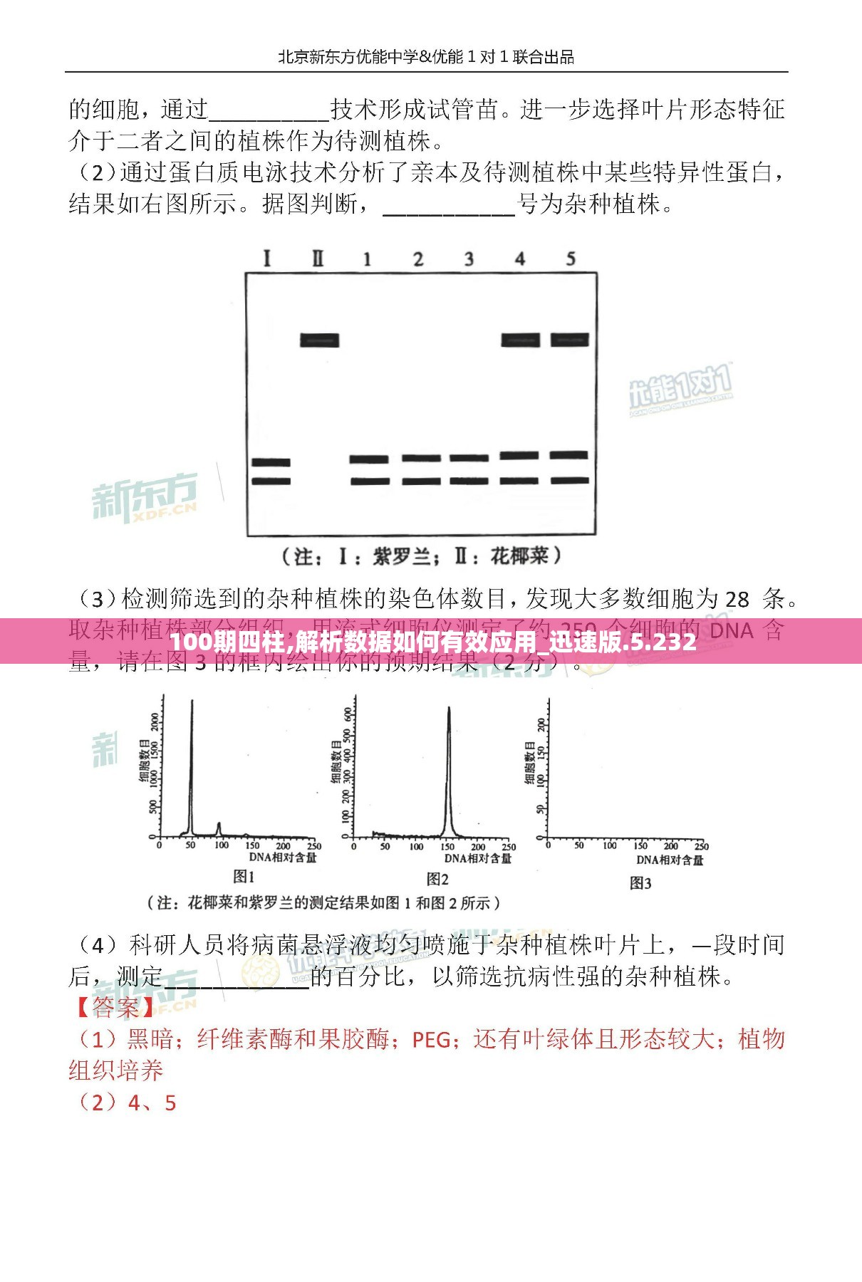 100期四柱,解析数据如何有效应用_迅速版.5.232