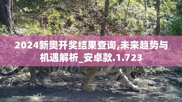 2024新奥开奖结果查询,未来趋势与机遇解析_安卓款.1.723