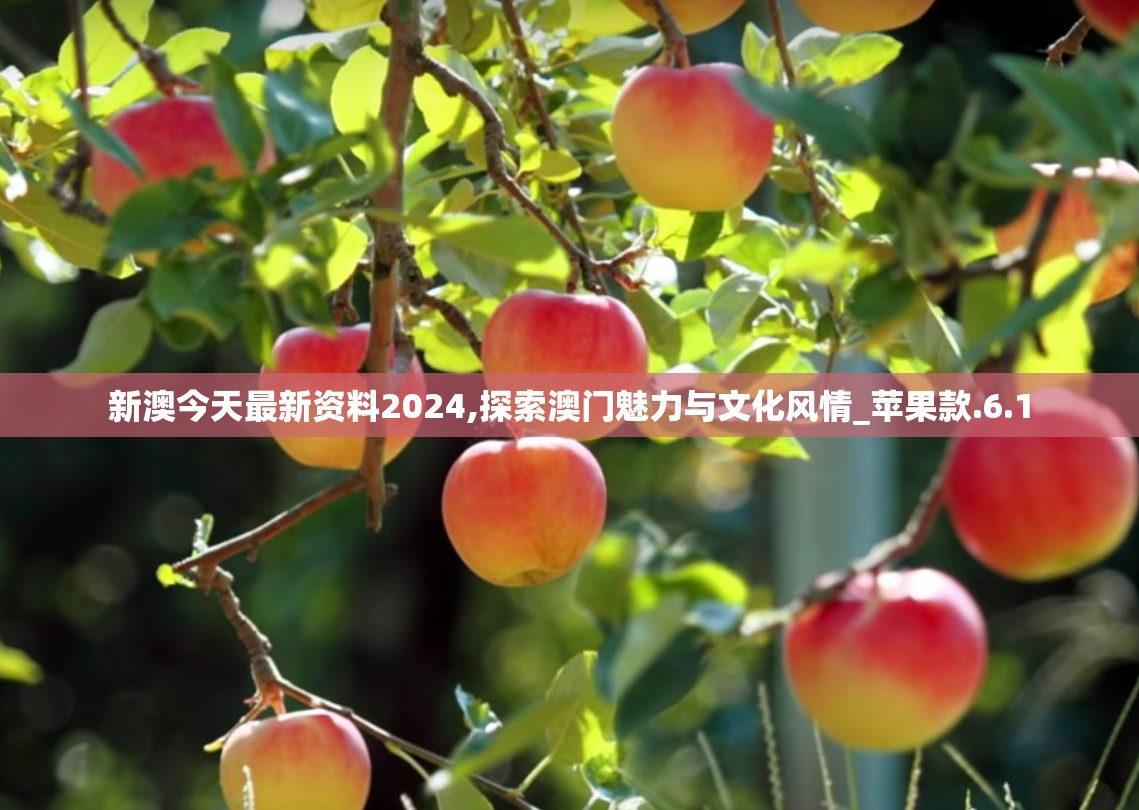 新澳今天最新资料2024,探索澳门魅力与文化风情_苹果款.6.1