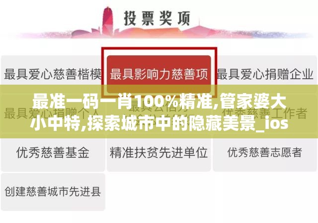 最准一码一肖100%精准,管家婆大小中特,探索城市中的隐藏美景_ios5.533