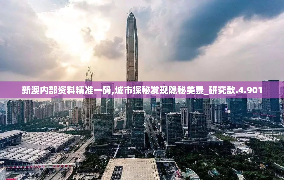 新澳内部资料精准一码,城市探秘发现隐秘美景_研究款.4.901