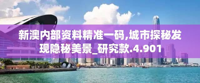新澳内部资料精准一码,城市探秘发现隐秘美景_研究款.4.901