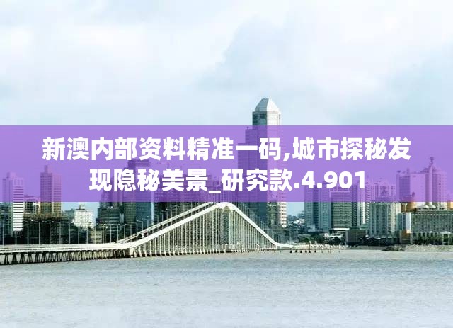 新澳内部资料精准一码,城市探秘发现隐秘美景_研究款.4.901