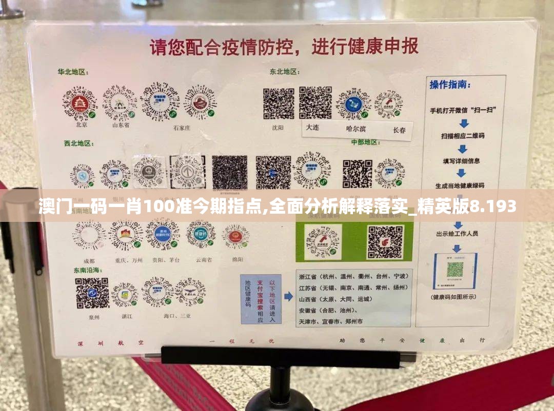 澳门一码一肖100准今期指点,全面分析解释落实_精英版8.193