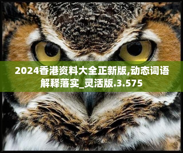 2024香港资料大全正新版,动态词语解释落实_灵活版.3.575