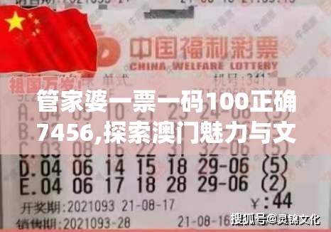 管家婆一票一码100正确7456,探索澳门魅力与文化风情_可选版.2.449