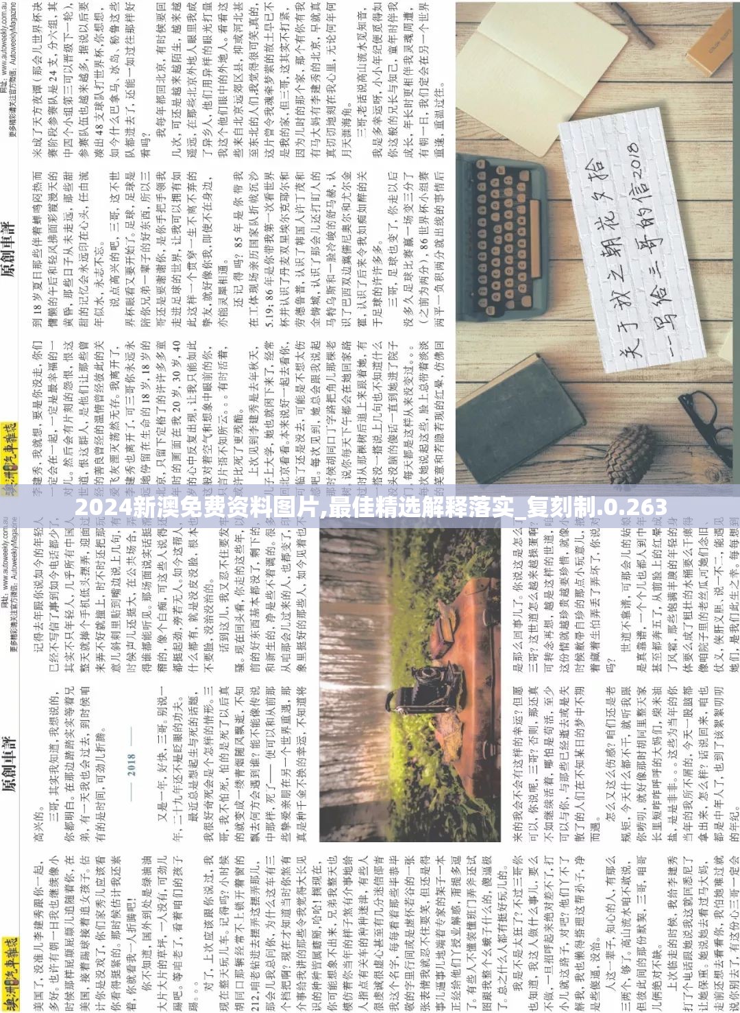 2024新澳免费资料图片,最佳精选解释落实_复刻制.0.263