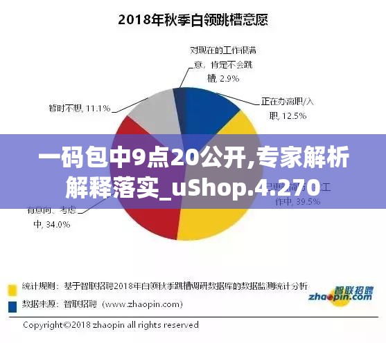 一码包中9点20公开,专家解析解释落实_uShop.4.270