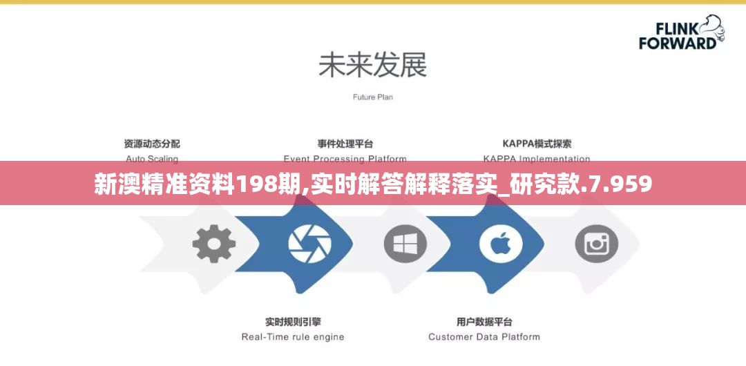 新澳精准资料198期,实时解答解释落实_研究款.7.959