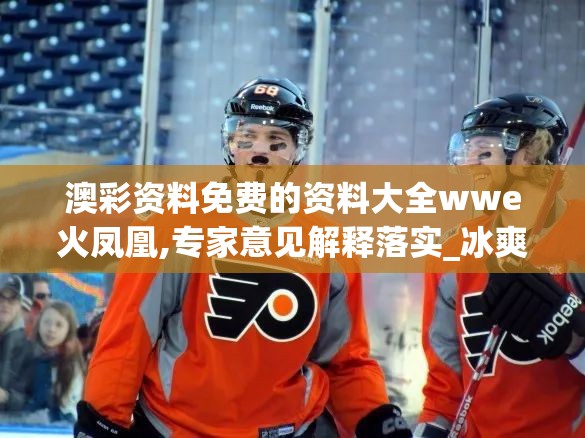 澳彩资料免费的资料大全wwe火凤凰,专家意见解释落实_冰爽型.3.215