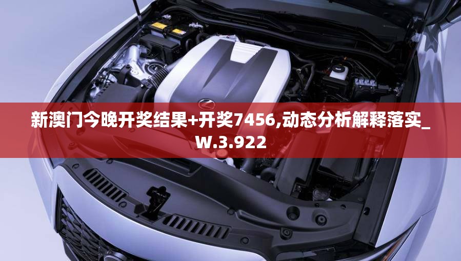 新澳门今晚开奖结果+开奖7456,动态分析解释落实_W.3.922