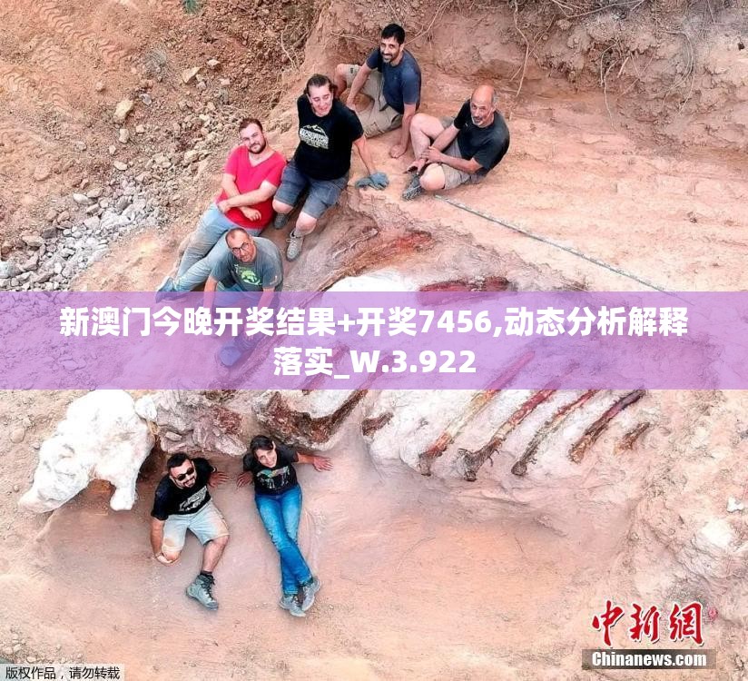 新澳门今晚开奖结果+开奖7456,动态分析解释落实_W.3.922