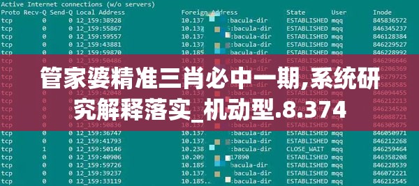 管家婆精准三肖必中一期,系统研究解释落实_机动型.8.374