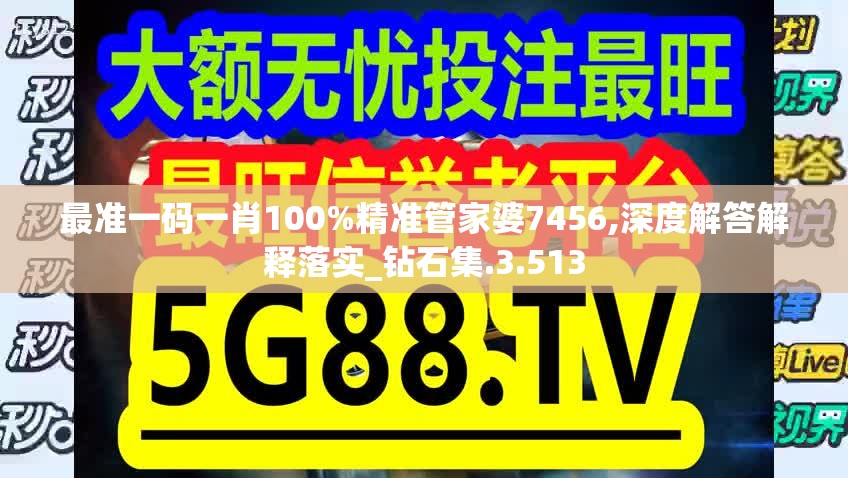 最准一码一肖100%精准管家婆7456,深度解答解释落实_钻石集.3.513
