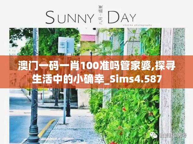 澳门一码一肖100准吗管家婆,探寻生活中的小确幸_Sims4.587